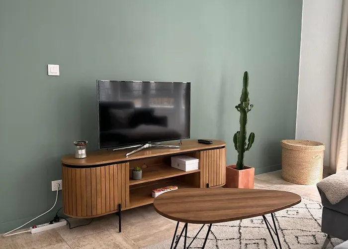 102 - Cheminee De La Bastide Carcassonne